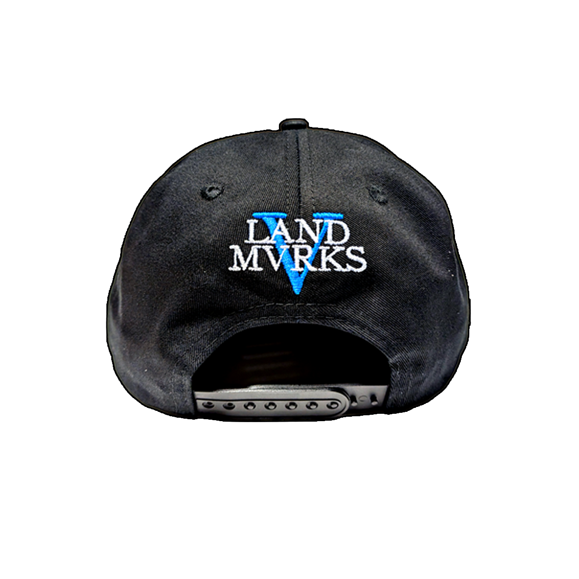 Cicada Black Snapback
