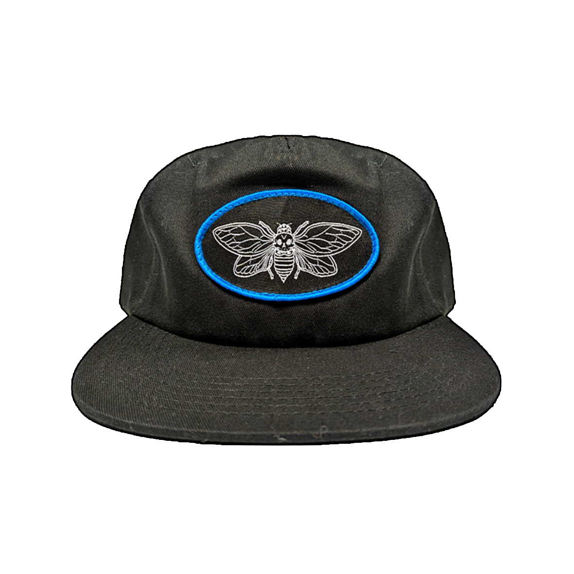 Cicada Black Snapback